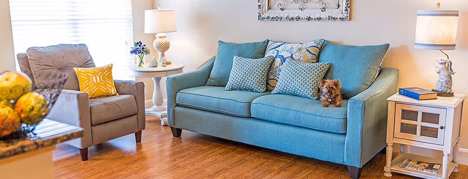 A cozy living room with a teal sofa adorned with patterned cushions and a small dog sitting on it. Next to the sofa is a white side table with a lamp and a book. There is a gray armchair with a yellow patterned pillow near a window with blinds. The floor is wooden, and a bowl of fruit is partially visible on a countertop in the foreground.