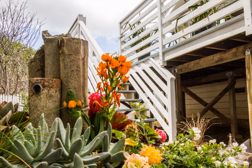 Outdoor garden area with various succulents and orange flowers in the foreground, white wooden stairs and railing leading up to a raised deck, and some bare trees and greenery in the background under a partly cloudy sky.