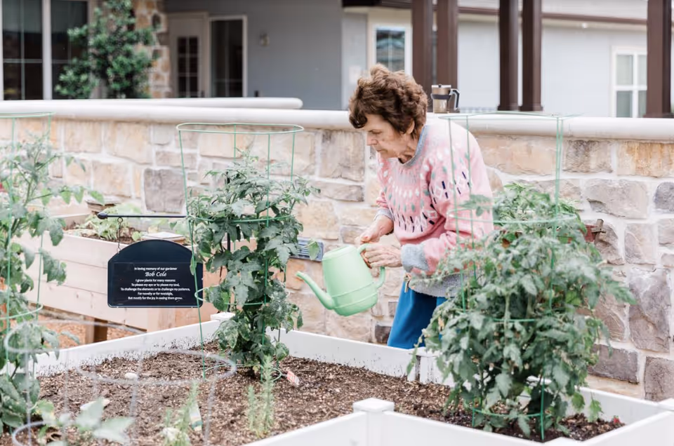 An elderly woman wearing a pink sweater waters plants in a raised garden bed outside, with a stone wall and building in the background.