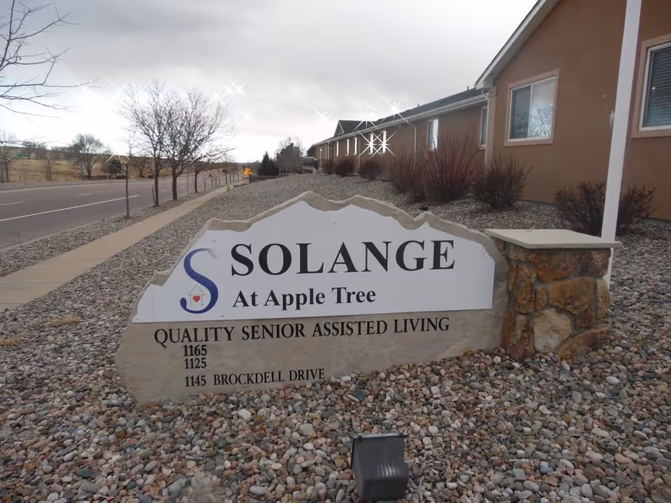 Outdoor view of a stone sign for Solange at Apple Tree Assisted Living, placed on a bed of small rocks next to a sidewalk and a road. The sign reads 'SOLANGE At Apple Tree QUALITY SENIOR ASSISTED LIVING 1165 1125 1145 BROCKDELL DRIVE'. In the background, there is a building with beige walls and several windows, along with leafless trees and a cloudy sky.