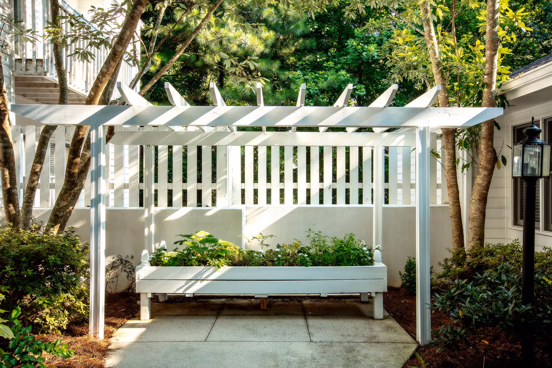 A white wooden pergola with a raised garden bed underneath, surrounded by green plants and trees, with a white fence and part of a building visible in the background.
