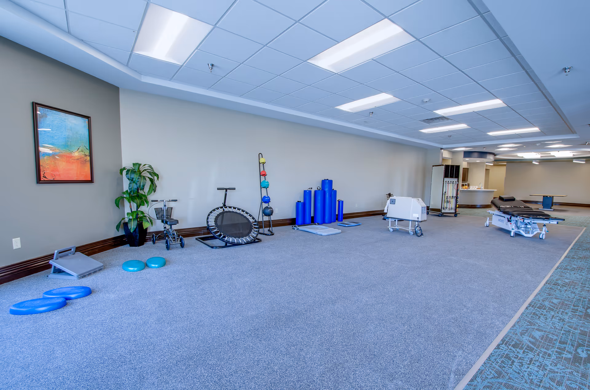A spacious rehabilitation or physical therapy room with various exercise equipment including balance pads, a small trampoline, medicine balls, foam rollers, and therapy tables. The room has a carpeted floor, a potted plant, a colorful abstract painting on the wall, and bright overhead lighting.