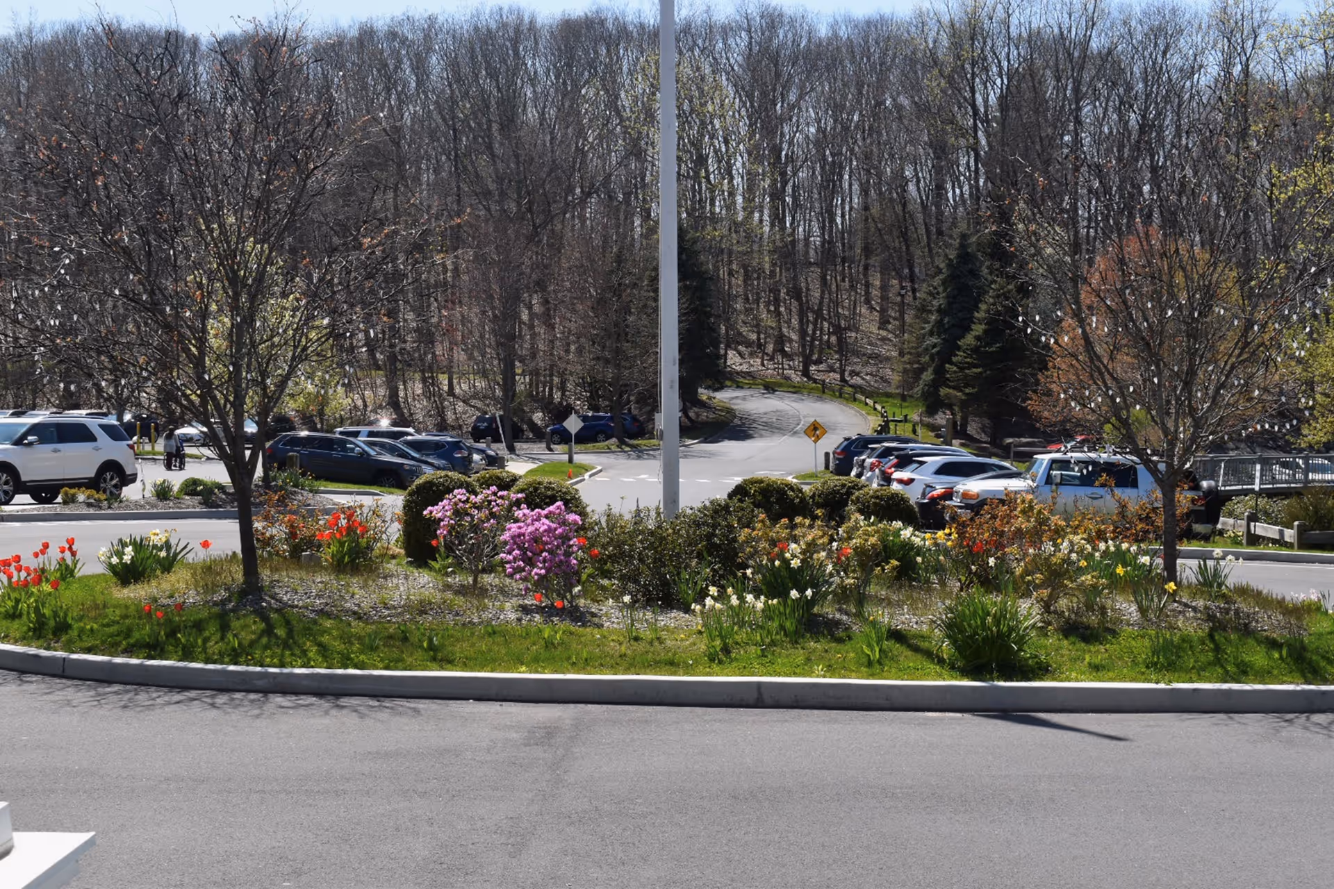 Parking lot area with several parked cars surrounding a landscaped island featuring green grass, bushes, and blooming flowers including red tulips and purple azaleas. In the background, there is a wooded area with leafless trees and a curving road leading into the distance under a clear sky.