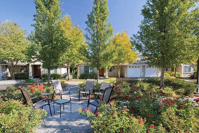 Outdoor seating area with four chairs and a small table surrounded by green trees and red flowering bushes, with residential buildings in the background under a clear blue sky.