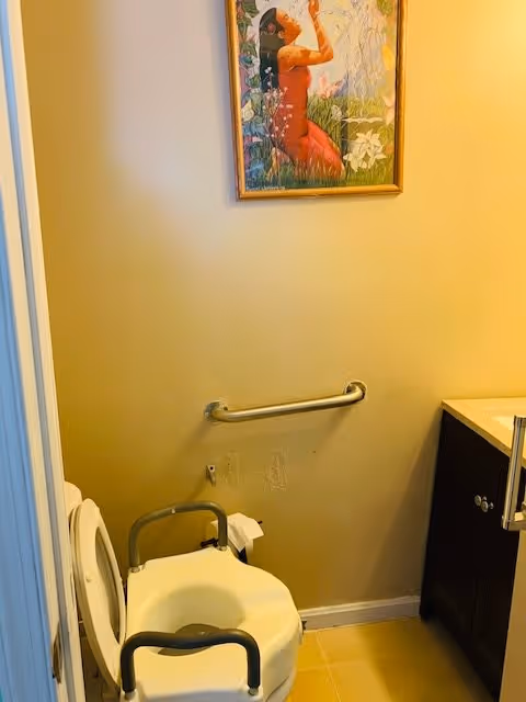 A small bathroom with a raised toilet seat equipped with armrests, a grab bar mounted on the wall behind the toilet, a toilet paper holder, a dark wooden cabinet with a countertop on the right, and a colorful framed painting of a person in a red dress on the wall above the grab bar.