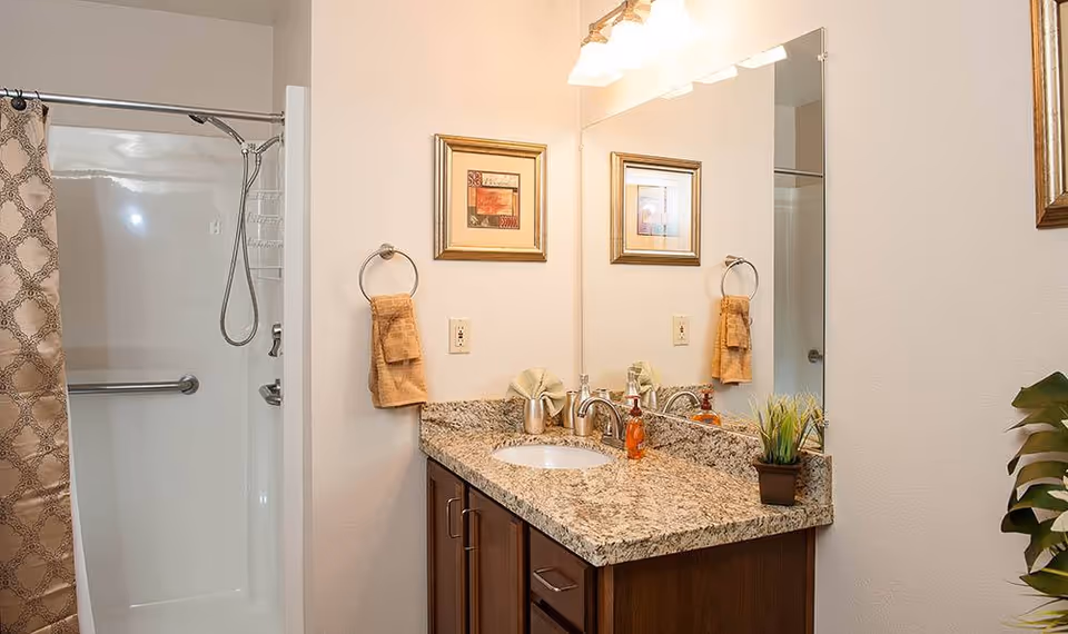 A bathroom with a granite countertop vanity featuring a sink, faucet, soap dispenser, and a small potted plant. Above the vanity is a large mirror and two framed pictures on the wall. To the left is a shower with a glass door and a patterned shower curtain. A towel ring with a beige towel is mounted on the wall next to the vanity.