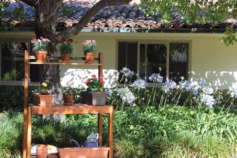 A wooden plant stand with several potted flowers and gardening tools in front of a building with a tiled roof and windows, surrounded by green plants and purple flowers in a garden setting.