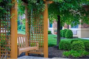 A wooden swing bench hanging from a pergola covered with green vines, situated in a landscaped garden area with trimmed bushes and a tree, with a building partially visible in the background.