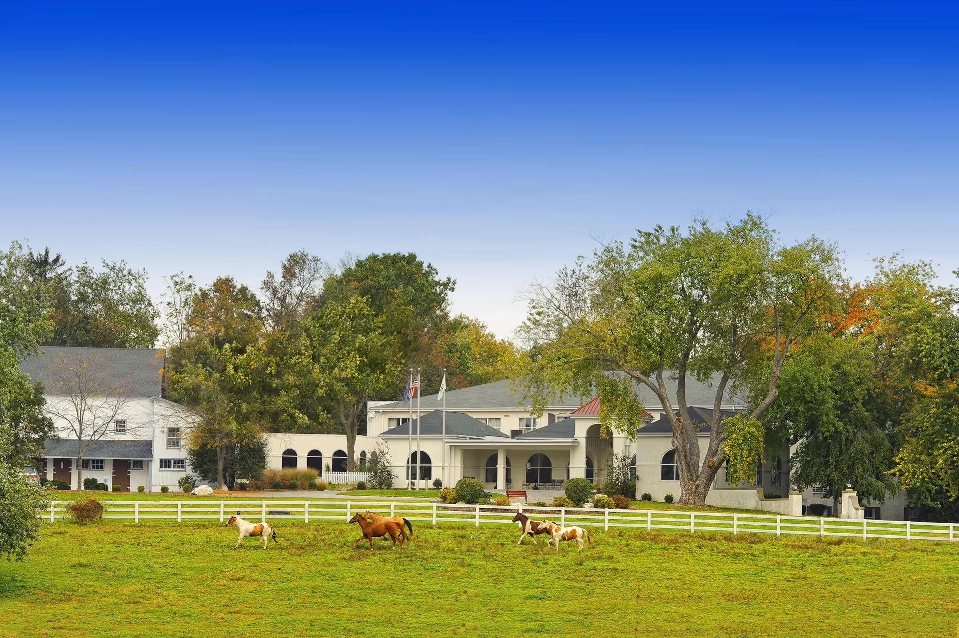 Large white nursing facility with arched entry and a fenced grassy pasture where several horses graze in front of trees.