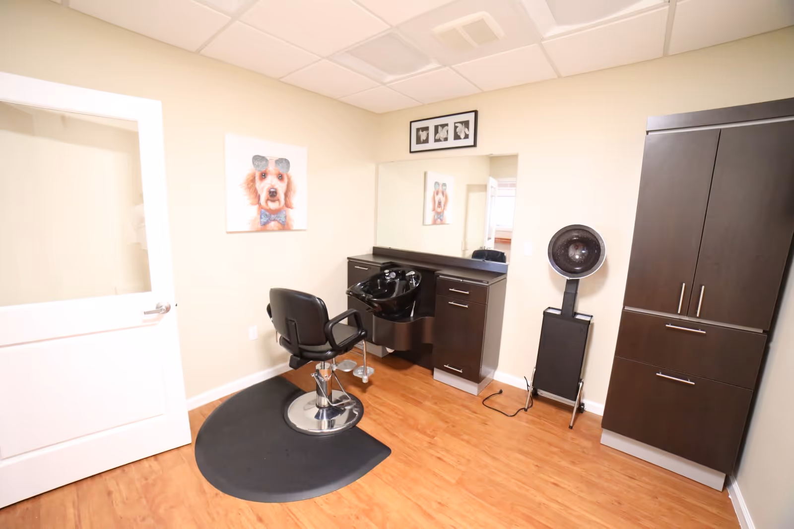A small hair salon room with a black salon chair on a black mat, a black hair washing sink attached to a dark wood cabinet with drawers, a large mirror above the cabinet, a dark wood storage cabinet, and a hair dryer on a stand. The walls are light beige, and there is a framed picture of a dog wearing sunglasses and a bow tie on the wall.