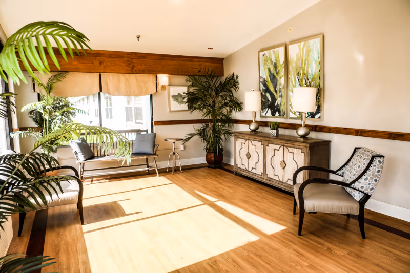 A bright and airy common area with wooden flooring, large windows letting in sunlight, several potted plants, a bench with cushions, two armchairs, a decorative sideboard with two lamps, and two framed botanical artworks on the wall.
