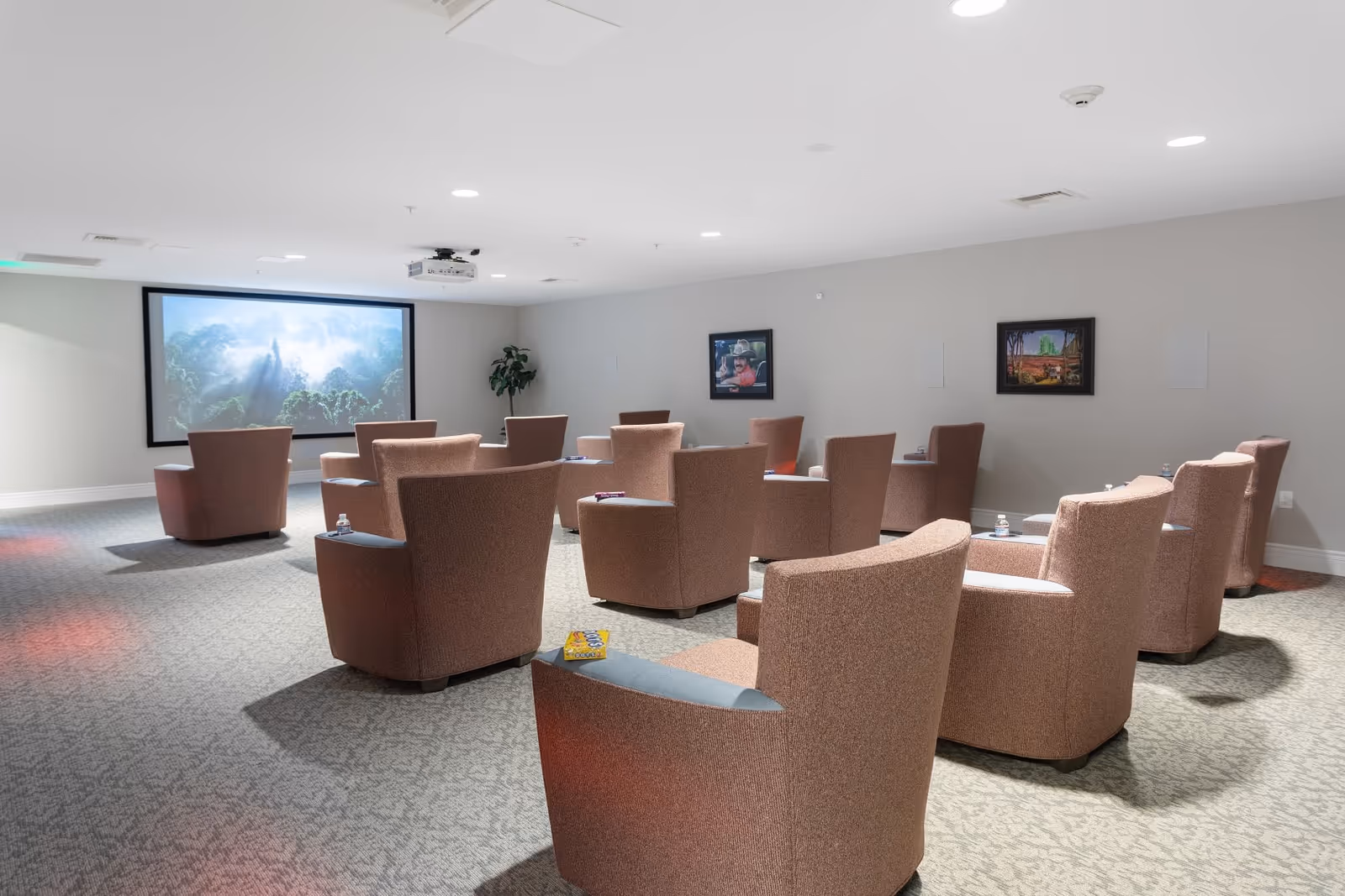 A small theater room with multiple brown upholstered armchairs arranged in rows facing a large projection screen showing a nature scene. The room has light gray walls, carpeted floor, recessed ceiling lights, and framed pictures on the walls.