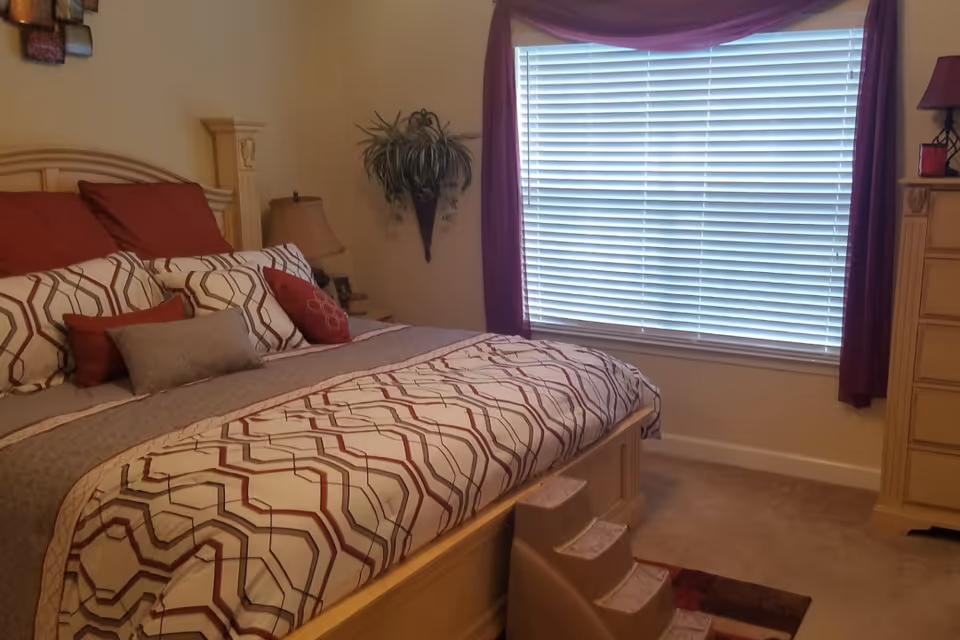 Bedroom with a large bed in patterned bedding, pillows, a window with blinds, a dresser, and a bedside lamp.