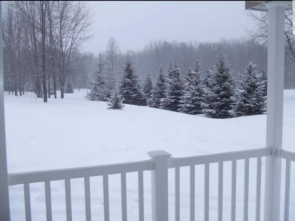 View from a porch with white railing overlooking a snow-covered landscape with a row of snow-dusted evergreen trees and leafless deciduous trees in the background under a gray sky.