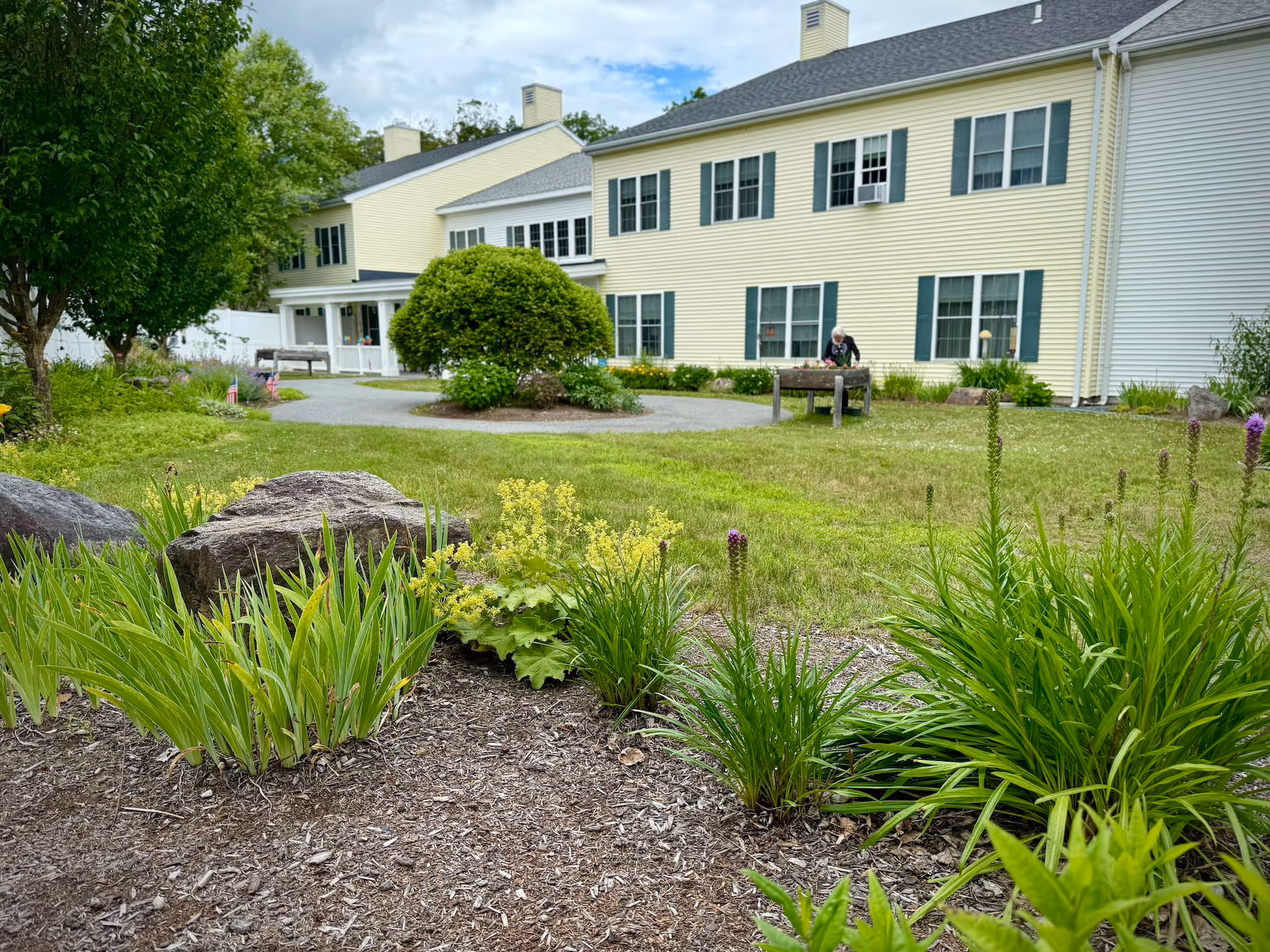 A landscaped garden area with green plants and flowers in the foreground, a large rock, and a paved walkway leading to a two-story yellow building with multiple windows and green shutters. A person is seen tending to a raised garden bed near the building.