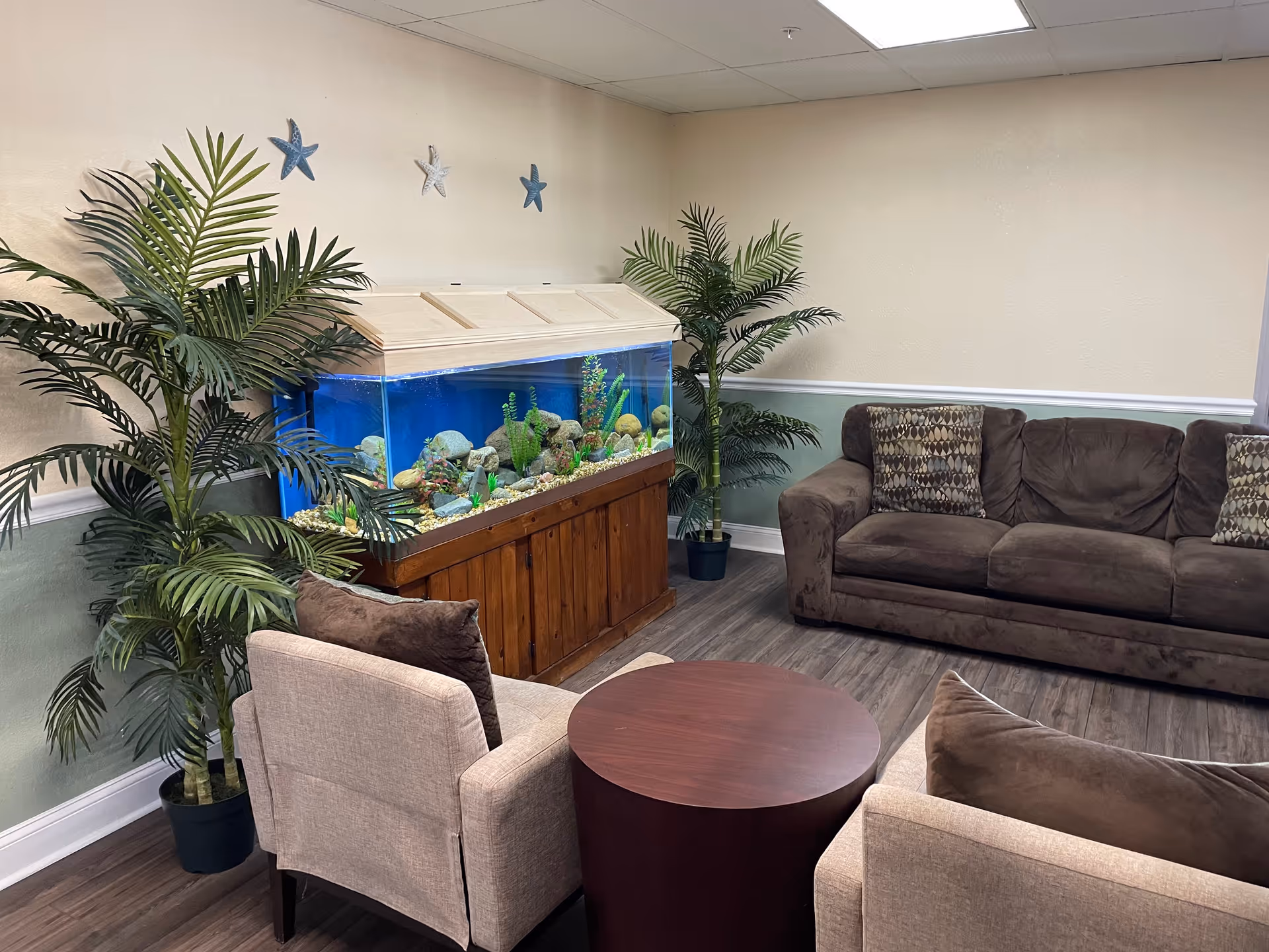 A cozy living room area with a large fish tank on a wooden stand, two beige armchairs with brown cushions, a round wooden coffee table, a brown sofa with patterned pillows, and two large potted plants. The walls are light-colored with a green lower half and decorated with starfish wall hangings.
