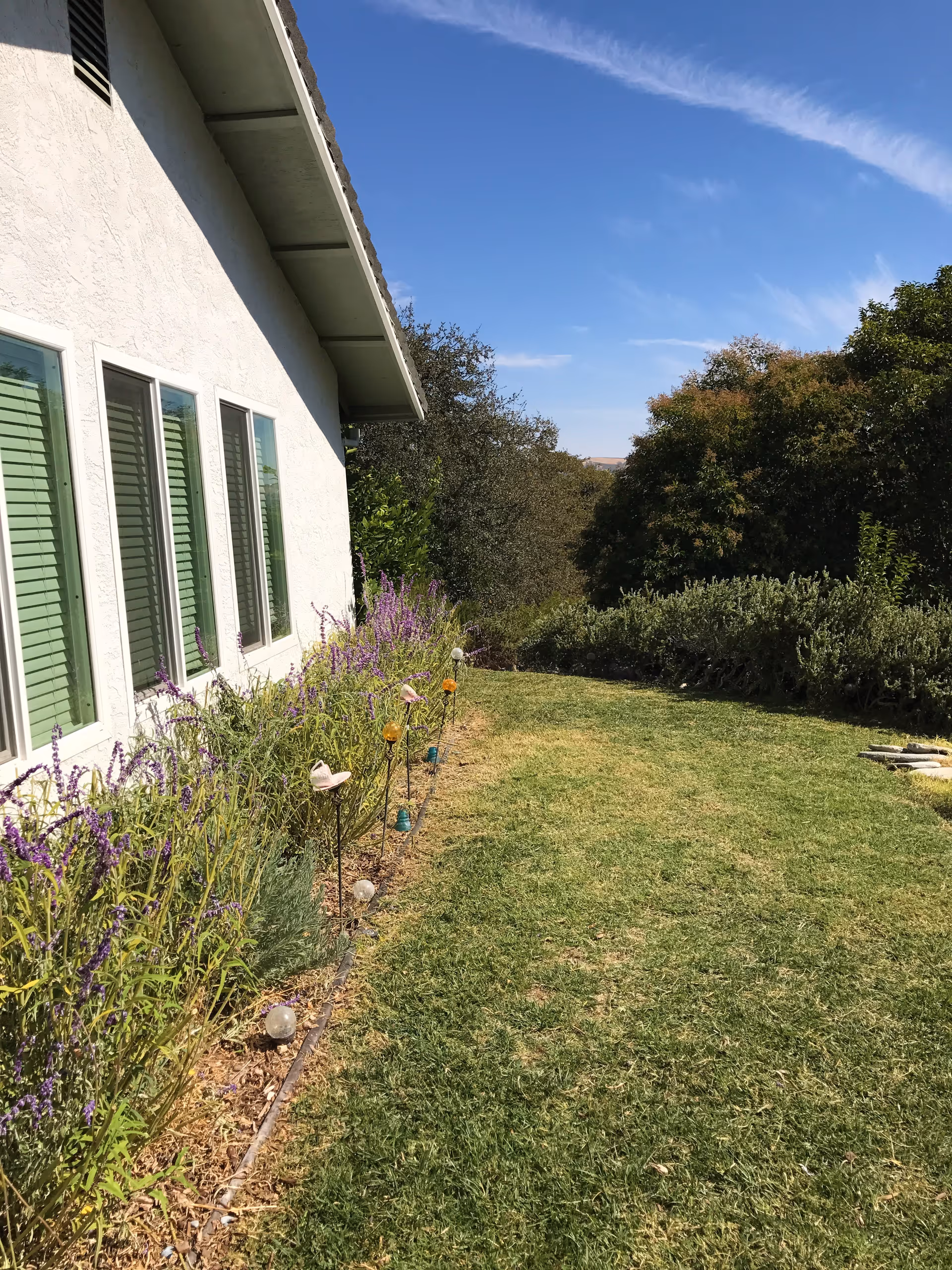 Outdoor garden area beside a white building with several windows. There are purple flowers and decorative garden stakes along the edge of the building, with a grassy lawn extending outward and trees in the background under a clear blue sky.