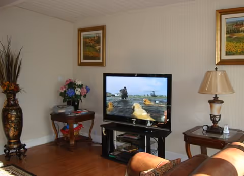A cozy living room corner with a flat-screen TV displaying a nature scene with dogs and a person. The room has wooden flooring, a large decorative vase with tall plants, two side tables with a lamp, flowers, and other small items. Two framed paintings hang on the walls.