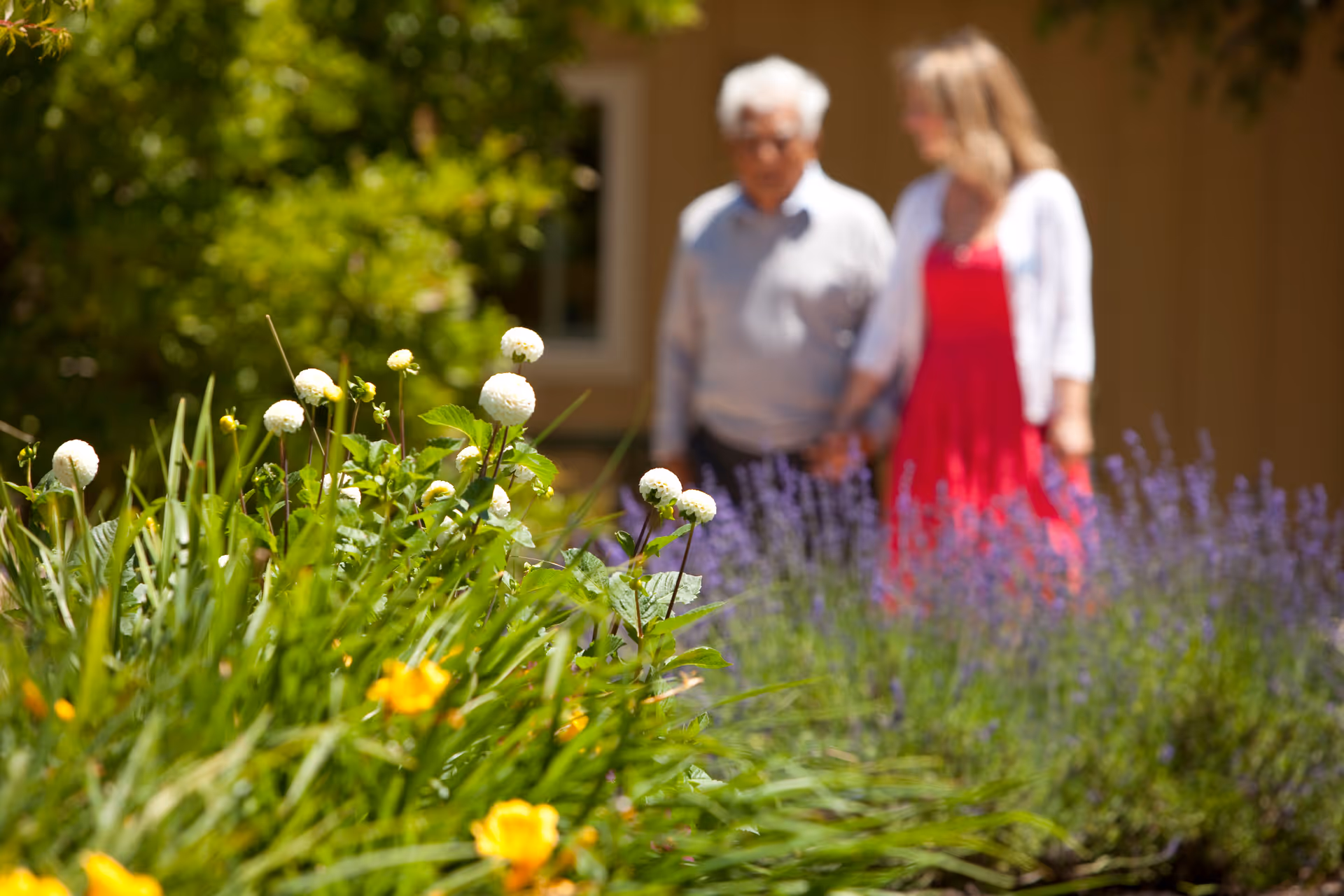 A garden with white and yellow flowers in the foreground and two people walking hand in hand in the background, slightly out of focus. The setting appears to be outdoors near a building.