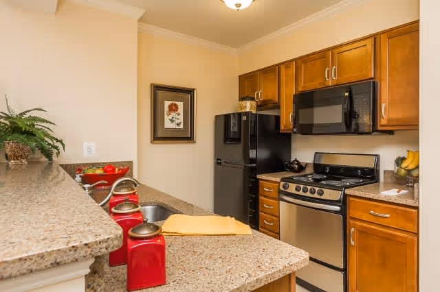 A kitchen area with wooden cabinets, a black refrigerator, a black microwave, and a stainless steel stove. The countertop is beige with a speckled pattern and has a sink, red canisters, a yellow towel, and a bowl of bananas. A framed floral picture hangs on the wall, and there is a small green plant on the counter.