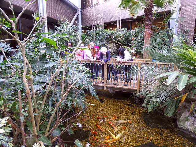 A group of elderly people and caregivers standing on a wooden bridge inside a lush indoor garden, looking down at colorful koi fish swimming in a clear pond surrounded by various green plants and palm trees.