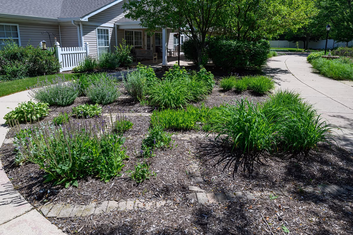 A landscaped garden area with various green plants and shrubs bordered by mulch and a paved walkway. In the background, there is a building with beige siding, white trim, windows, and a covered porch with outdoor seating. Trees and additional greenery surround the area, creating a peaceful outdoor environment.