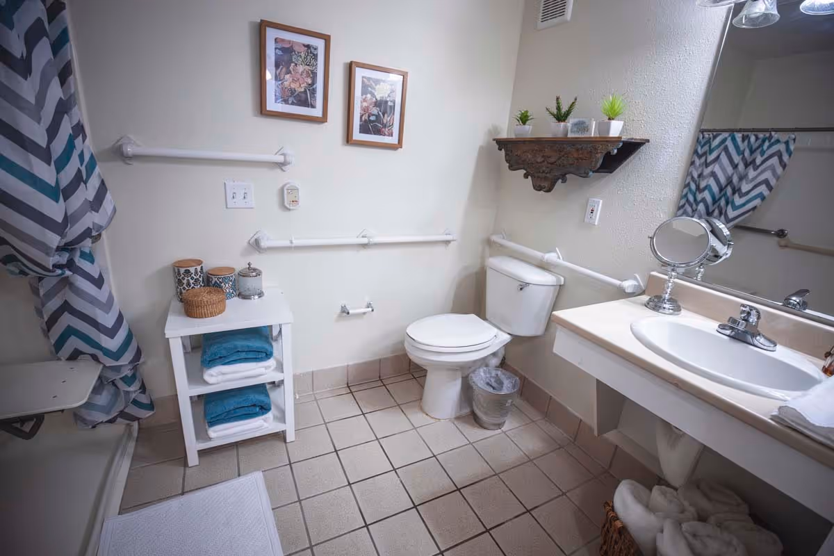 Accessible bathroom with a toilet, sink and vanity mirror, grab bars, shower with a chevron curtain, and shelving holding towels and decor.