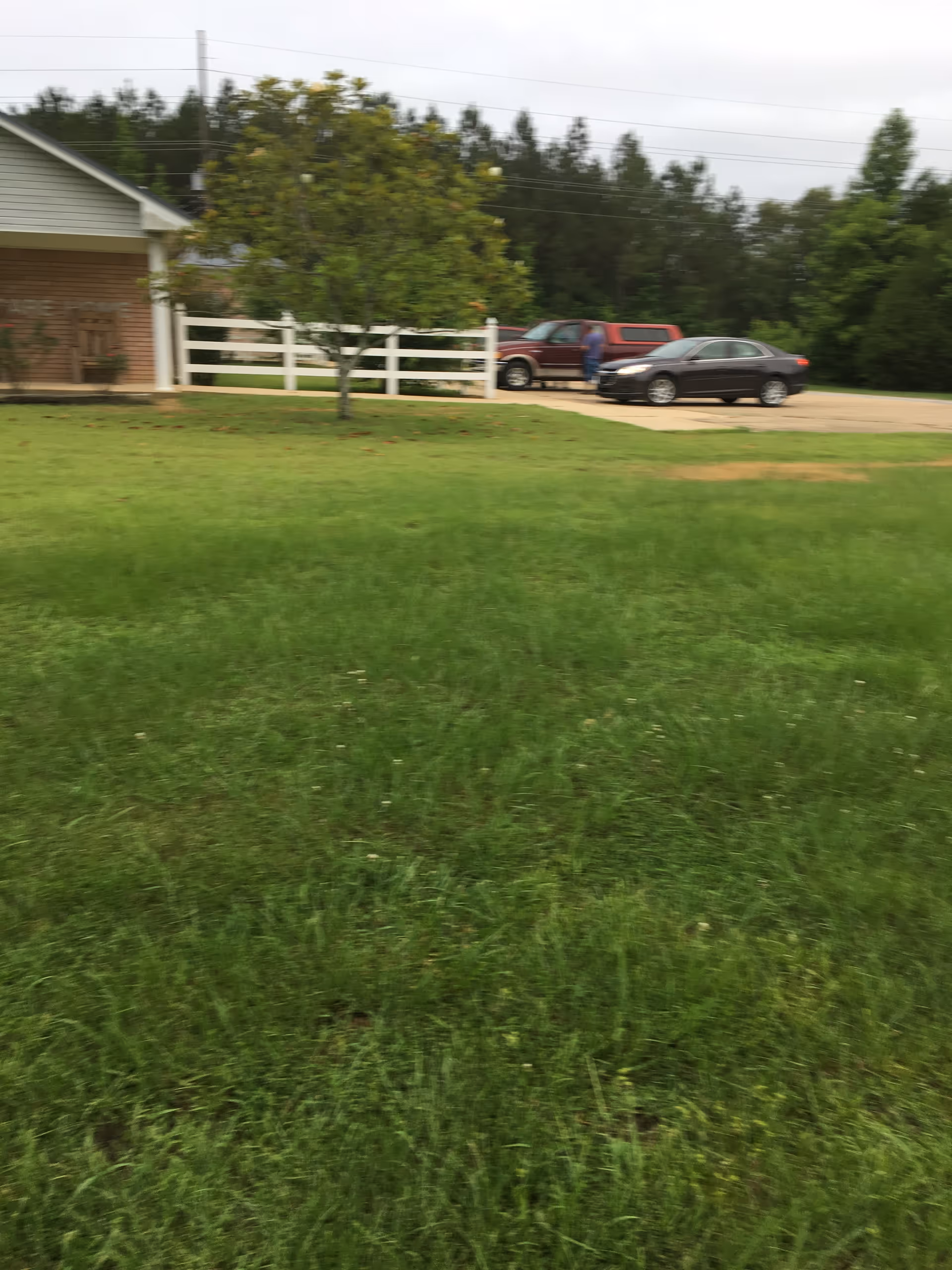 A grassy lawn with a small tree in front of a white fence and a brick building. Two cars are parked on a driveway near the building, with a person standing beside one of the cars. Trees and greenery are visible in the background under a cloudy sky.