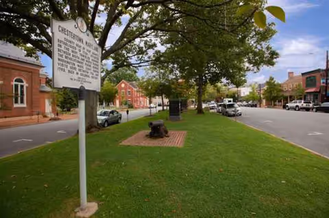 Street view of a grassy median with trees, sign, and a cannon in Chestertown.