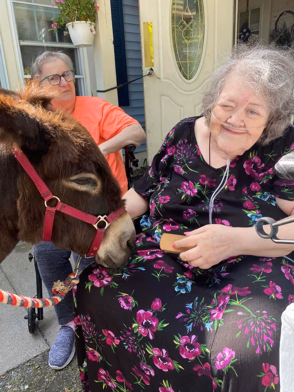 An elderly woman sitting outside near a door, wearing a black dress with purple and pink floral patterns, smiling and holding a wooden brush. She has a nasal oxygen tube. A brown donkey with a red halter is nuzzling her lap. Another woman in an orange shirt and glasses is sitting behind her in a wheelchair, watching the interaction.