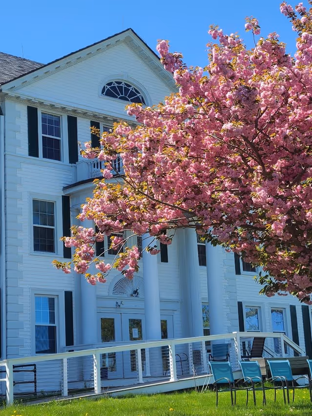 White multi-story building with large white columns at the entrance, partially obscured by a blooming tree with pink flowers. There are several blue chairs on the green lawn in front of the building under a clear blue sky.