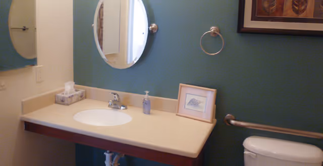 Bathroom interior with a beige countertop sink, a round mirror above the sink, a tissue box, a soap dispenser, a framed picture on the counter, a towel ring, a grab bar, and a toilet partially visible on the right side against a green wall.