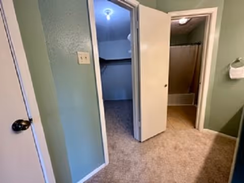 Carpeted bedroom area with an open closet and an adjacent bathroom visible through open doors.