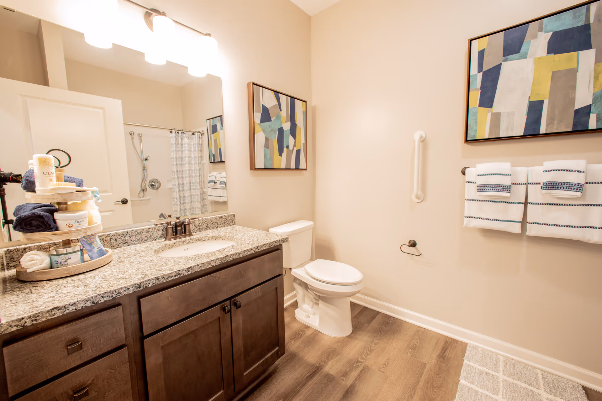 Bright modern bathroom with a granite-topped vanity, toilet, shower, and framed artwork on the wall.