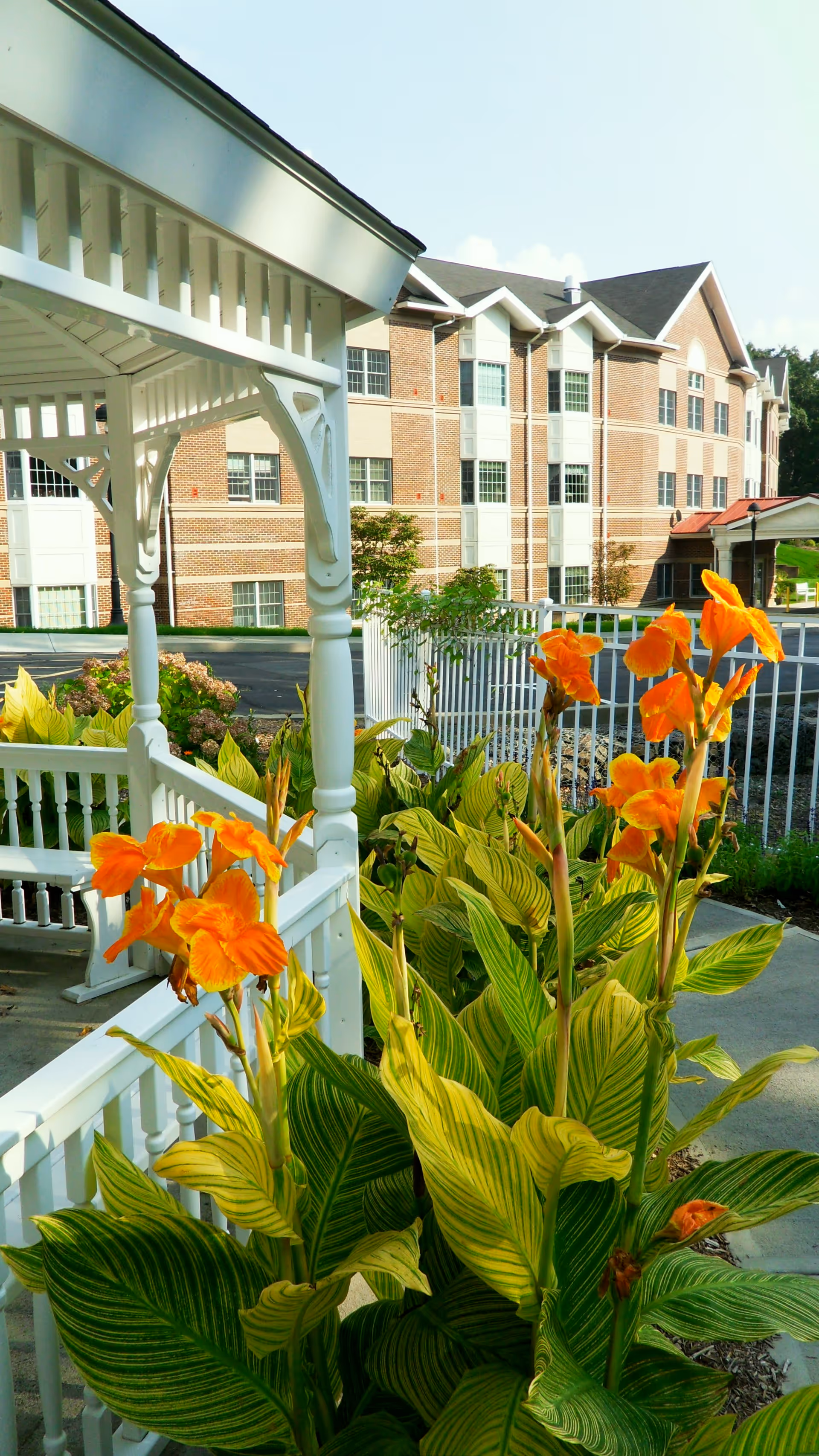 A white wooden gazebo with decorative railings and posts is surrounded by lush green plants with large leaves and orange flowers. In the background, there is a multi-story brick building with many windows, likely part of a senior living facility. The scene is outdoors on a sunny day.