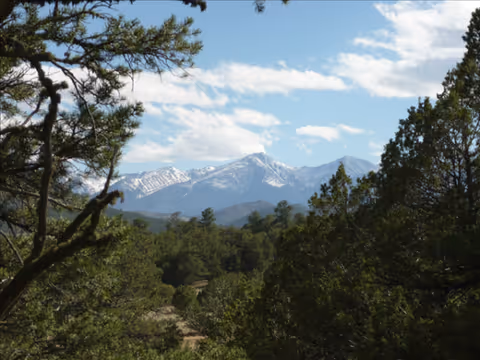 Scenic mountains framed by trees under a clear blue sky.