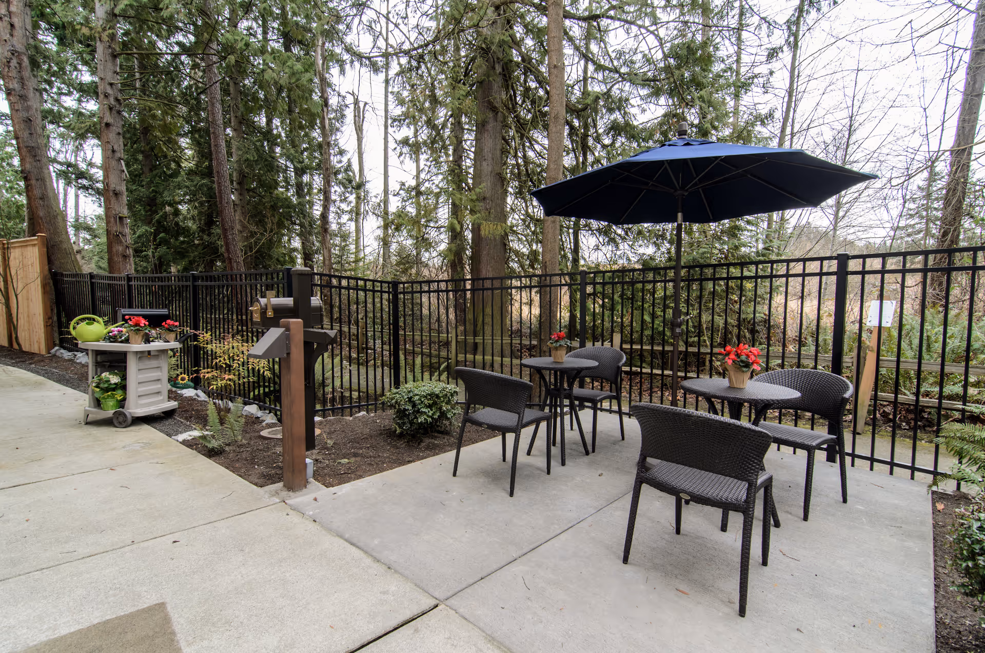 Outdoor patio area with two round tables, each with two black wicker chairs. One table has a large black umbrella. There are potted red flowers on the tables. The patio is surrounded by a black metal fence and tall trees in the background. A small cart with gardening supplies and a green watering can is visible on the left side.