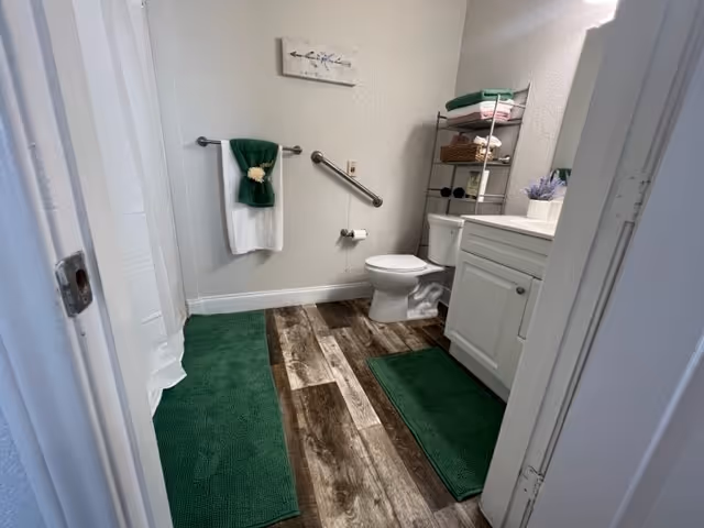 Small bathroom featuring a toilet, white vanity, grab bars, shelving with towels and green bath mats on wood-look flooring.