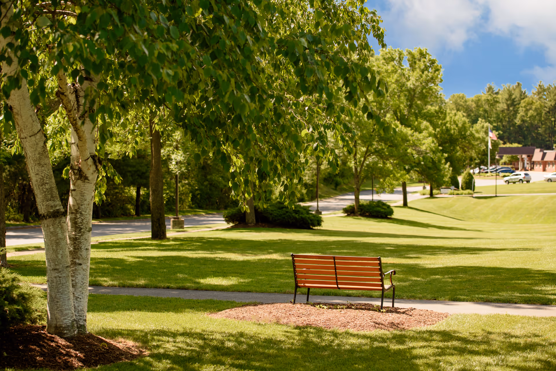 A wooden park bench on a grassy lawn beneath leafy trees with a road and buildings in the background.