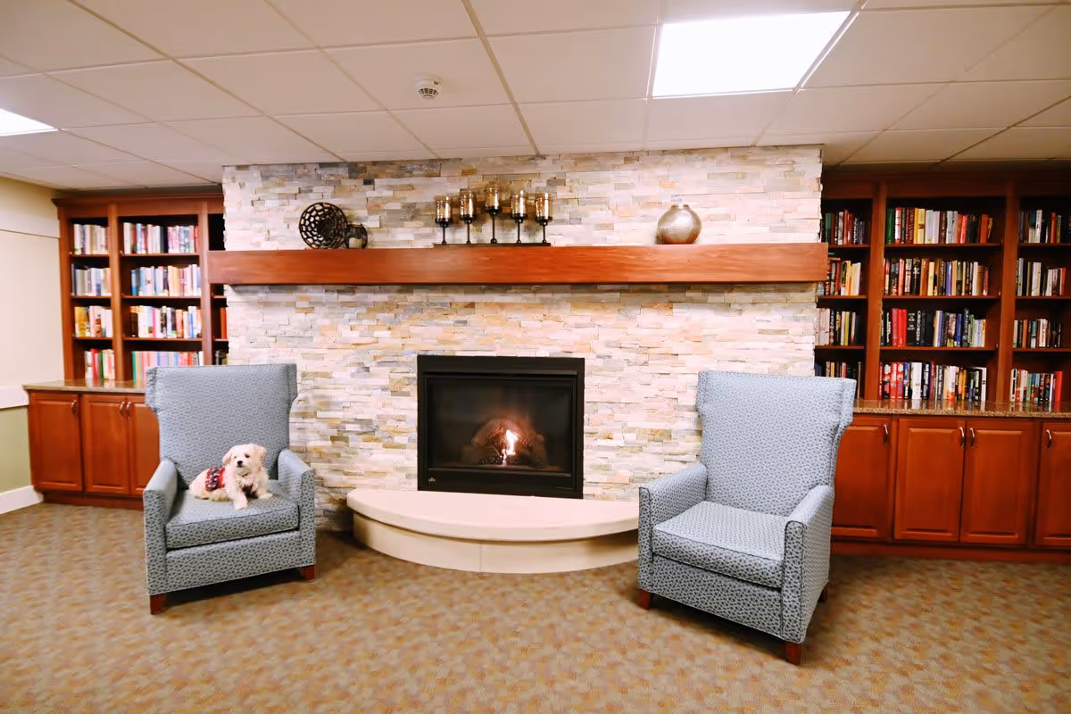 A cozy interior room with a stone fireplace in the center, flanked by two blue patterned armchairs. One armchair has a small white dog sitting on it. Behind the chairs are built-in wooden bookshelves filled with books and decorative items.