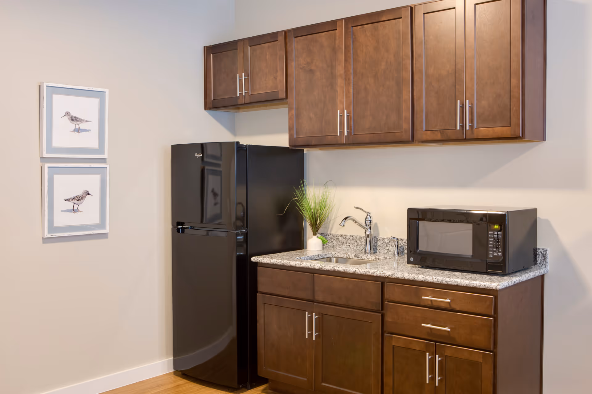 A small kitchen area with dark wooden cabinets, a black refrigerator, a granite countertop with a sink, a black microwave, and a small potted plant. Two framed bird illustrations hang on the adjacent wall.