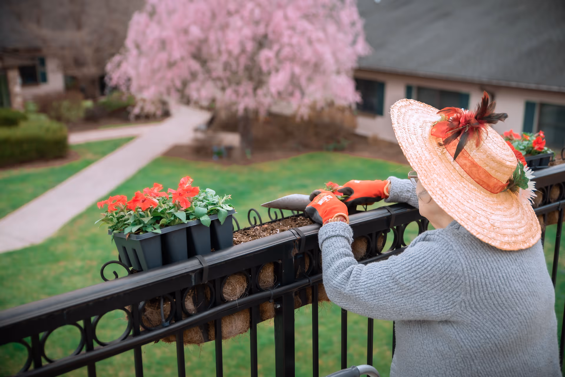 An elderly person wearing a large decorative straw hat and orange gardening gloves is planting red flowers in a planter attached to a black metal railing. In the background, there is a green lawn, a pathway, and a tree with pink blossoms near a building.