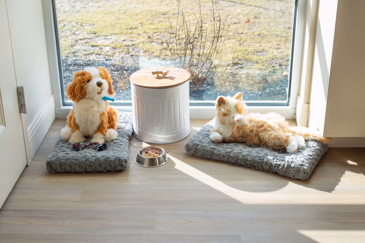 Two plush pet toys, a dog and a cat, sitting on gray cushions near a large window with sunlight streaming in. Between them is a white container with a wooden lid and a metal pet food bowl on the floor.
