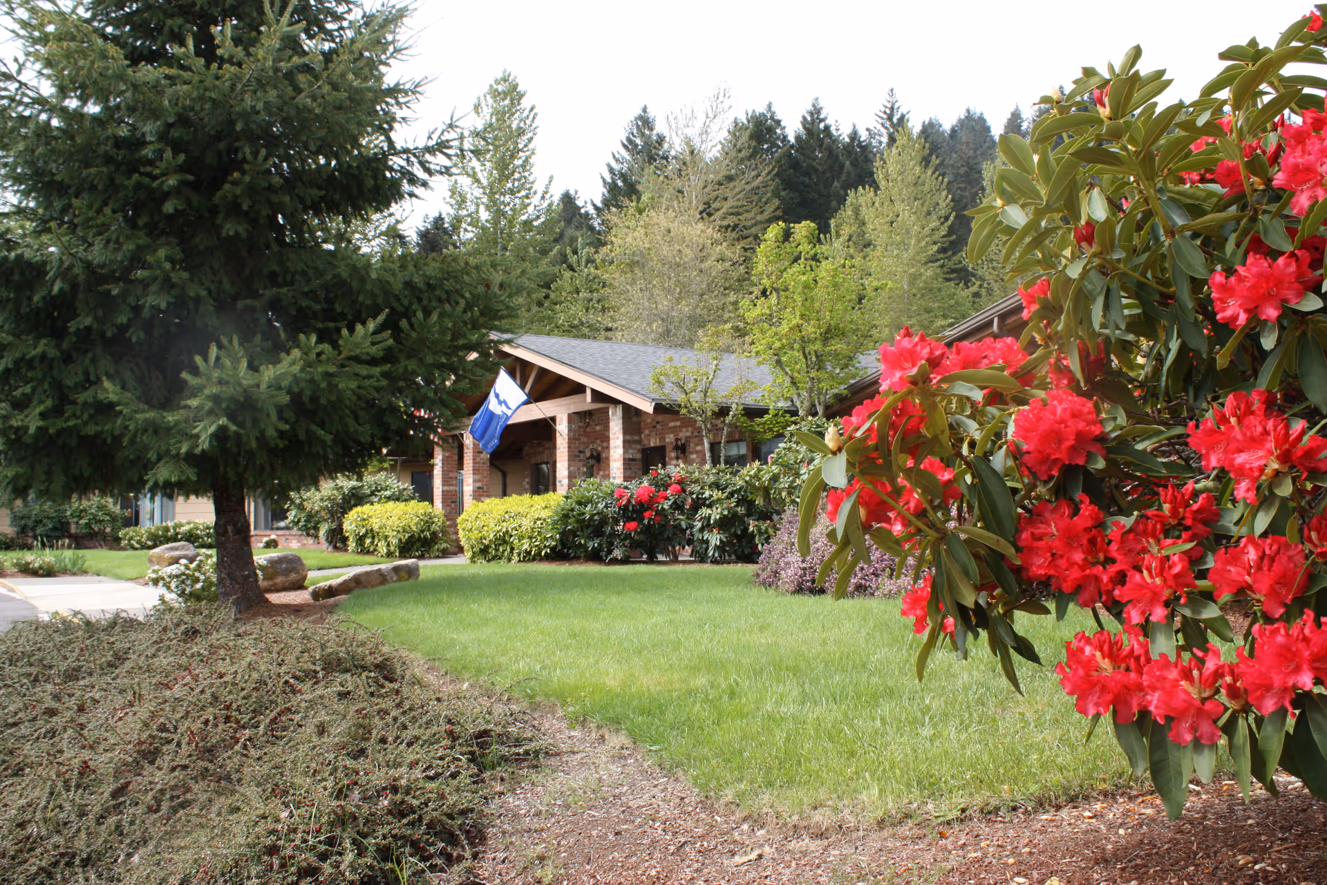 Front exterior of a single-story brick senior living building with a lawn, trees, and bright red flowering shrubs.