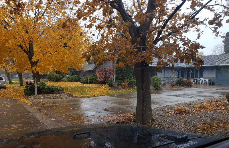 Rainy fall exterior with yellow-orange trees, a wet pavement, and a low building with outdoor seating.