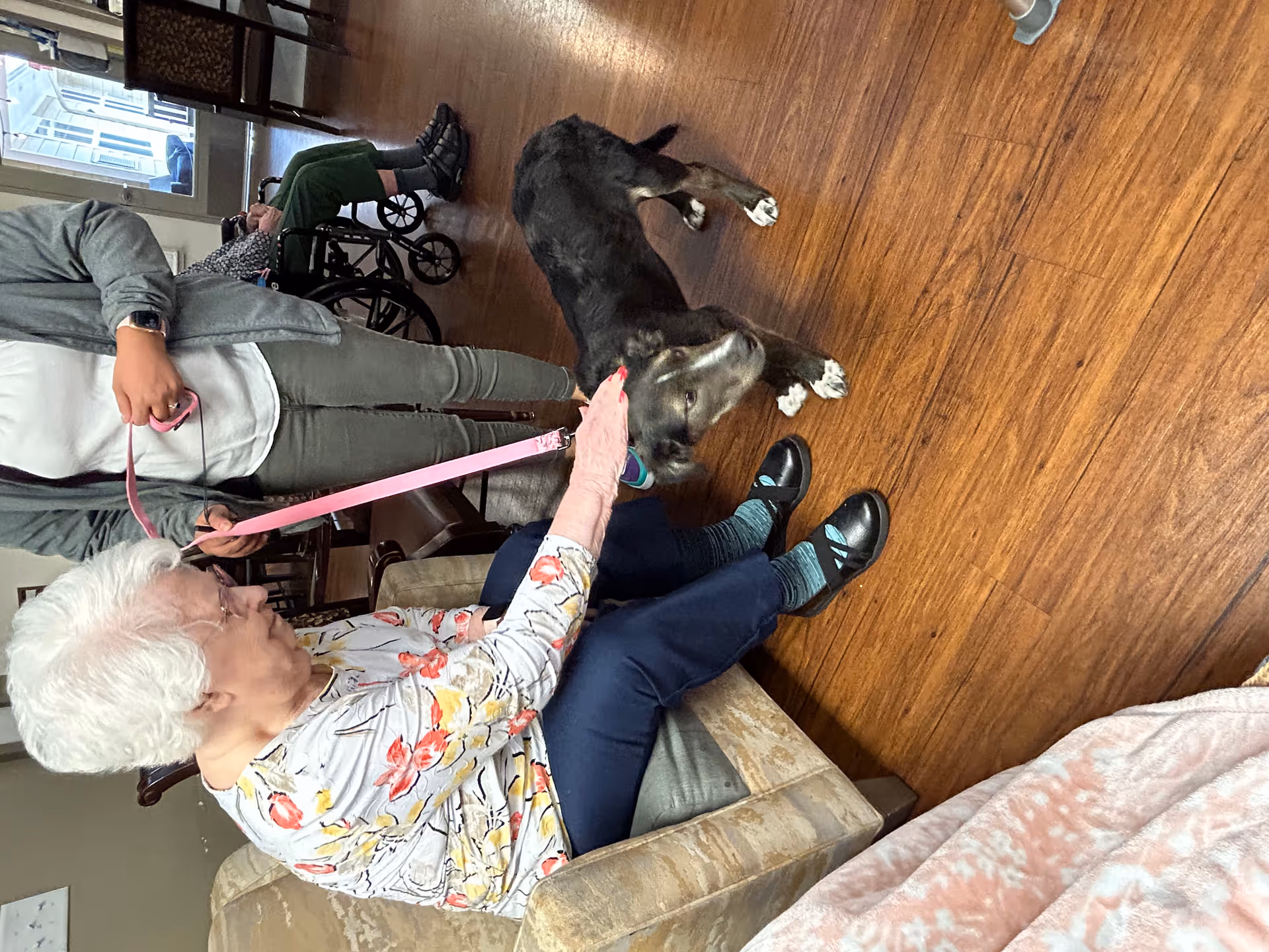 An elderly woman sitting on a beige armchair petting a black dog with white paws. A person standing next to her is holding the dog's pink leash. In the background, another elderly person is seated in a wheelchair in a room with wooden flooring and chairs.
