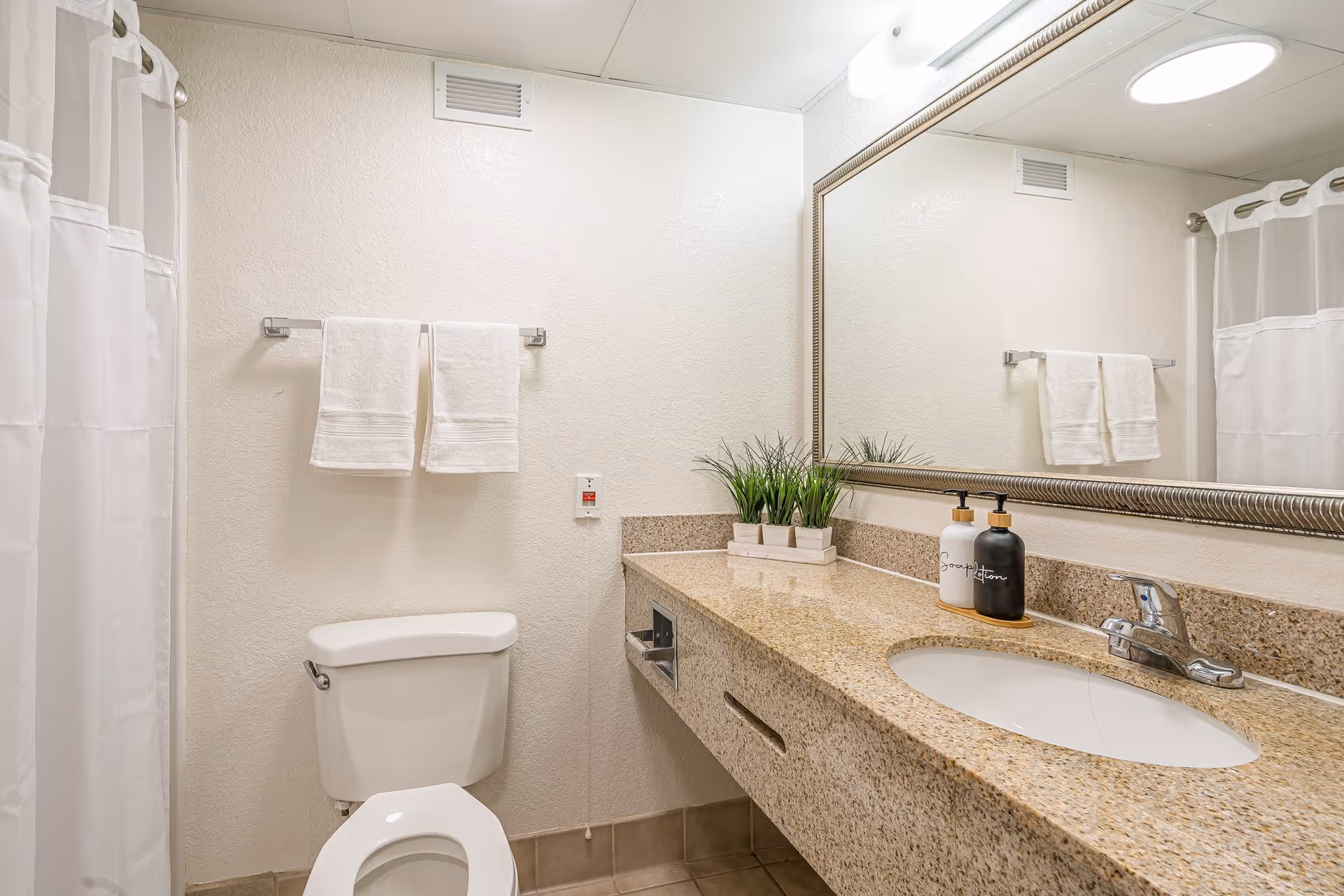 Small, well-lit bathroom with a toilet, granite vanity and sink, large mirror, towel rack, shower curtain, and countertop accessories.