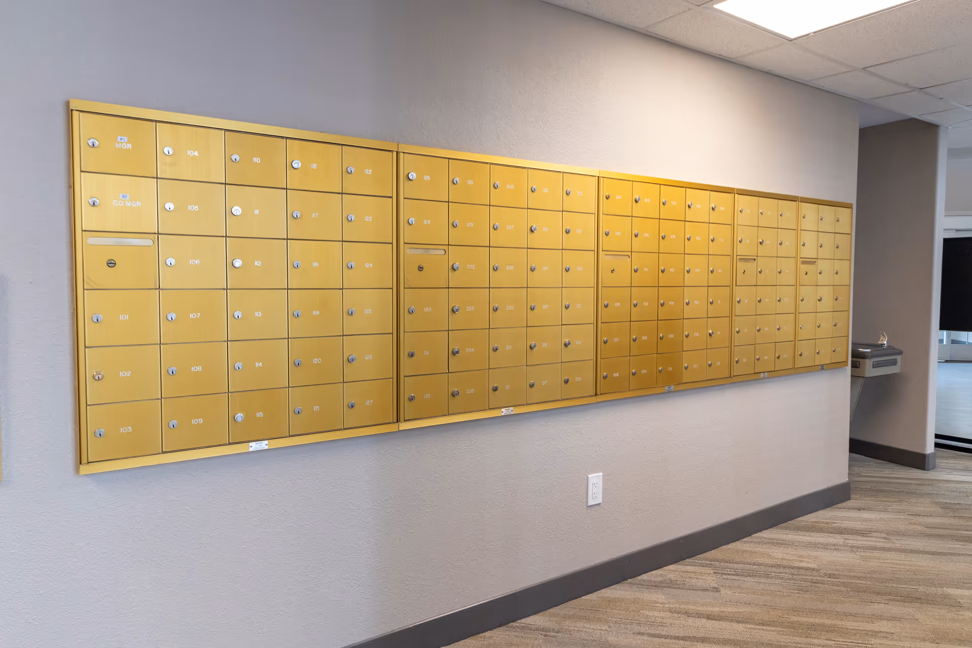 A wall-mounted bank of gold mailboxes in a hallway with carpeted flooring and neutral-colored walls.