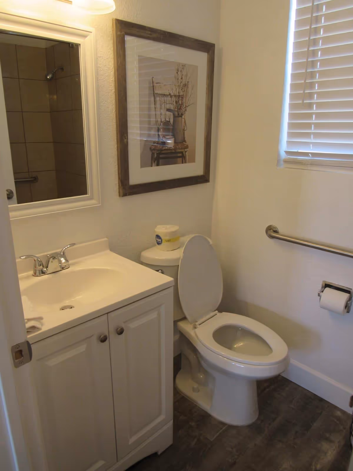 A small bathroom with a white sink cabinet, a mirror above the sink, a toilet with the lid open, a roll of toilet paper on the holder, a grab bar on the wall, a window with blinds, and a framed picture of a chair with a vase on it hanging on the wall.