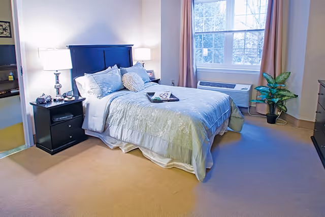 A neatly made bed with light blue bedding and multiple pillows in a bedroom. There is a black nightstand with a lamp and decorative items next to the bed. A window with pink curtains and a potted plant are visible on the right side. The room has beige carpet and light-colored walls.